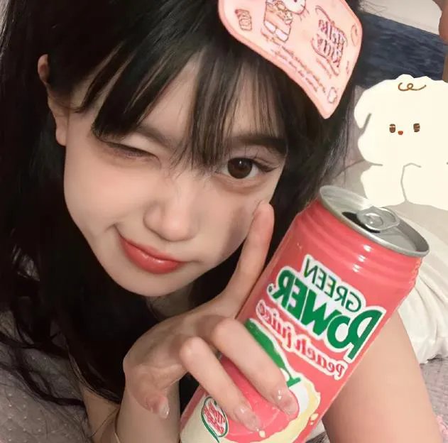 春情妃子